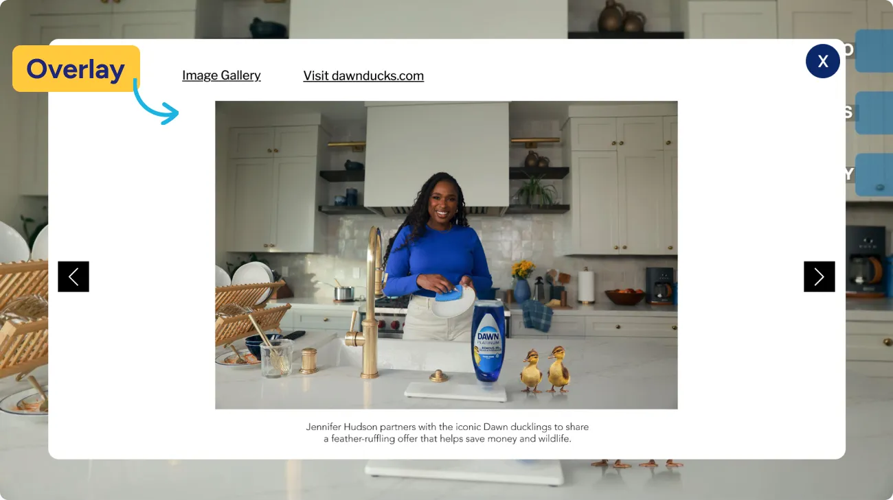 Example Business Wire Interactive Media with a call out that points out what an overlay is